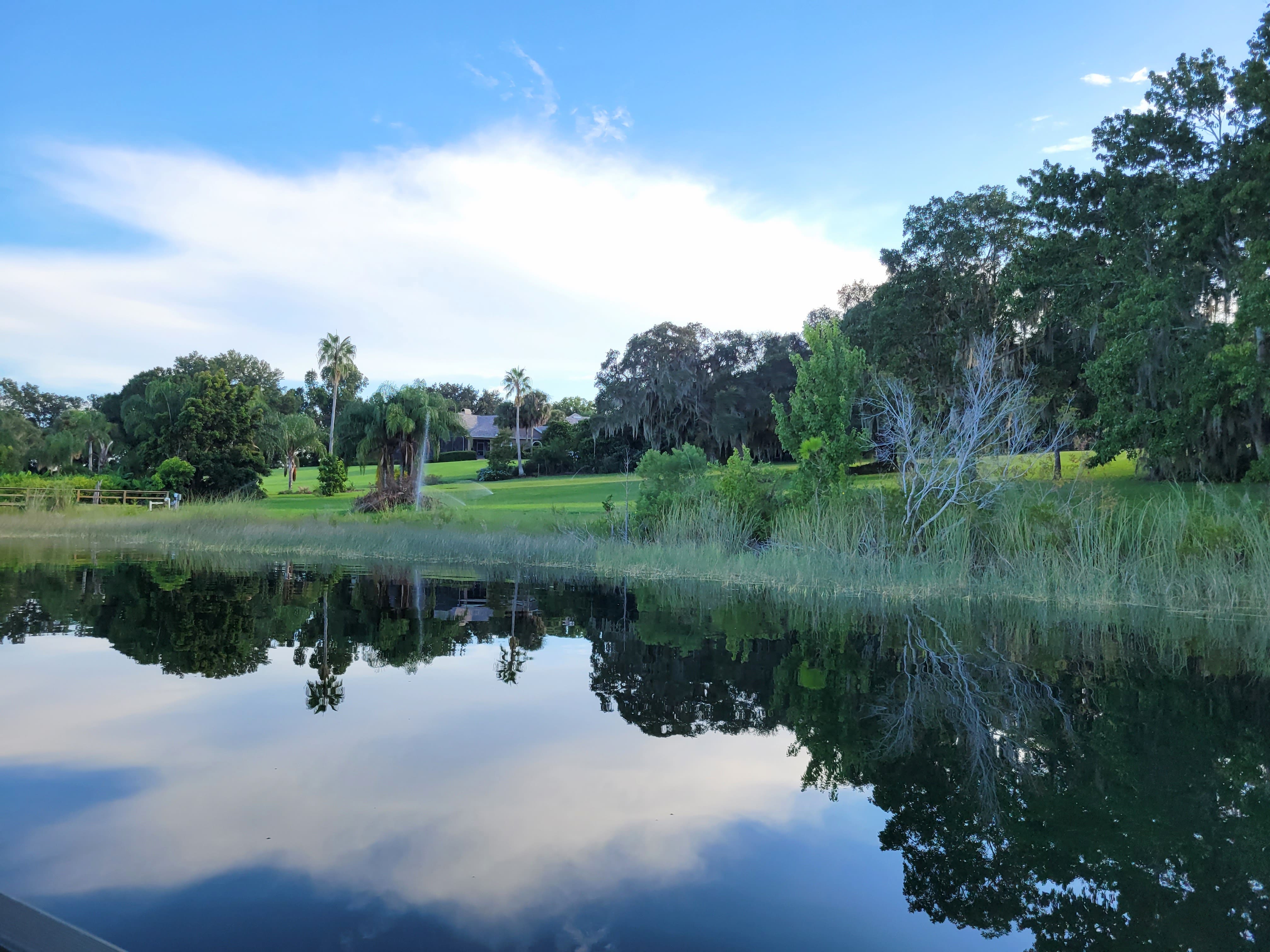 Neighbor property around Lake Dalhousie