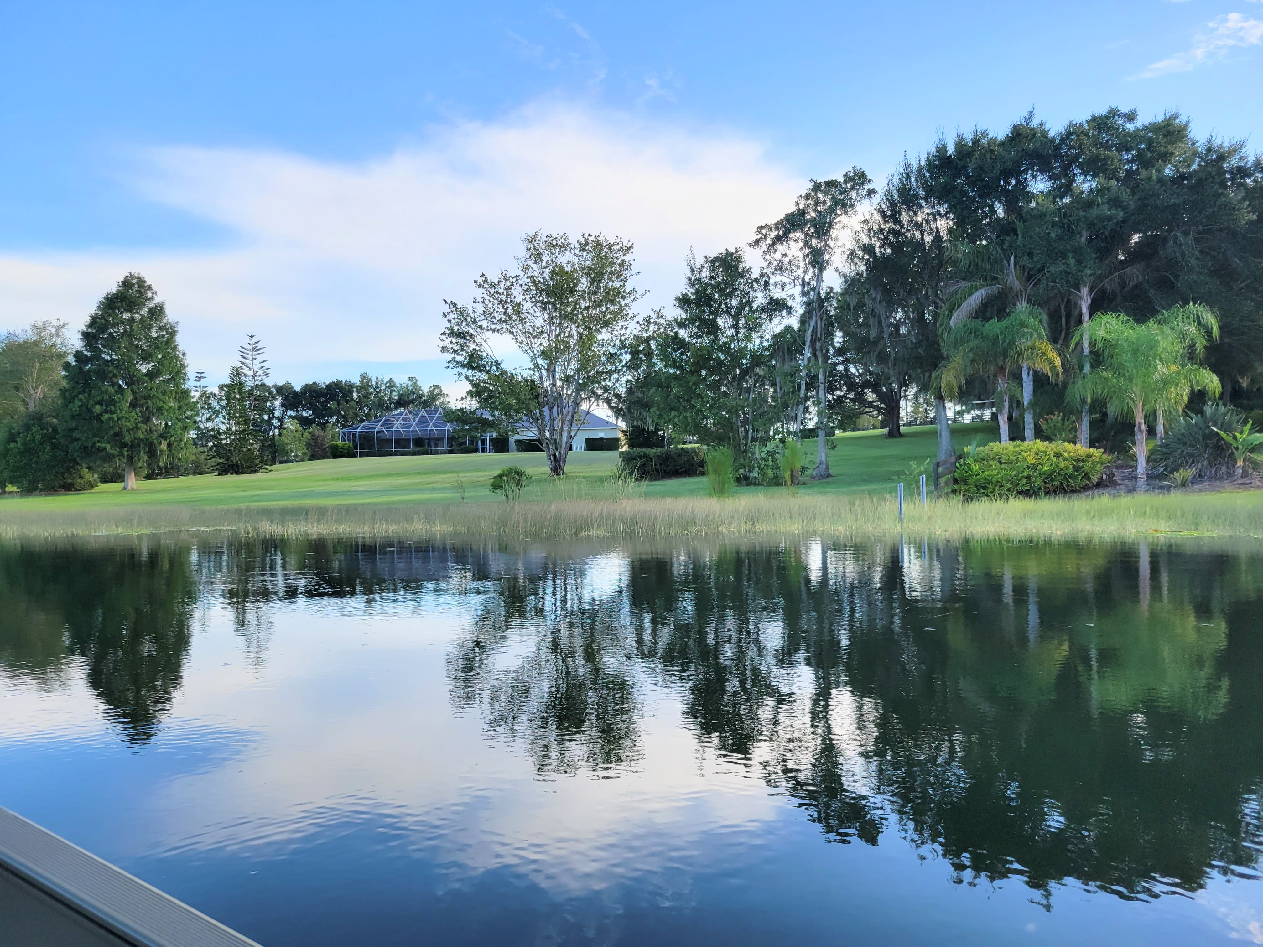 Neighbor property around Lake Dalhousie